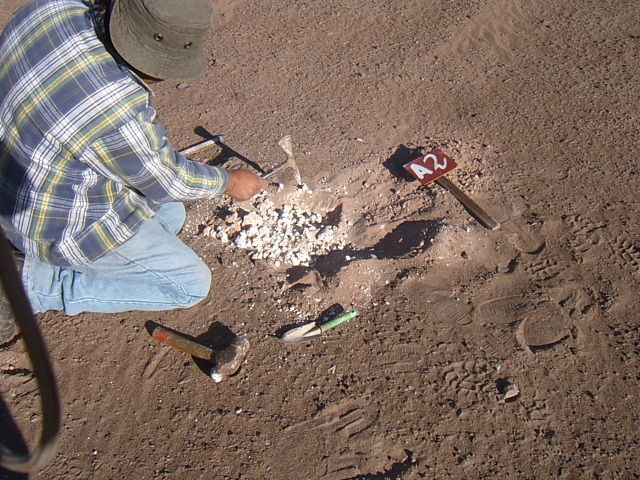 cal-anortita sector pisagua
